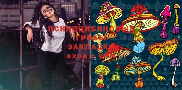 круглые Бронницы