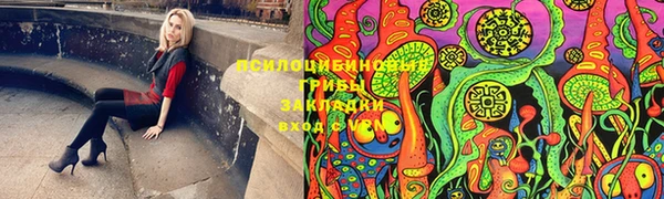 круглые Бронницы