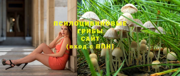 круглые Бронницы